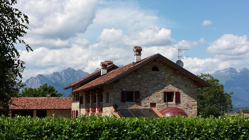 Agriturismo Casteldardo Guest House Trichiana Exterior foto